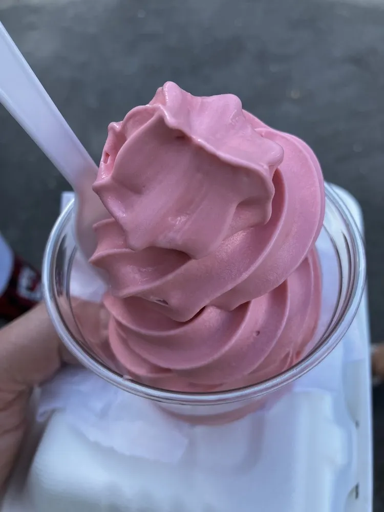 Watermelon Ice Cream